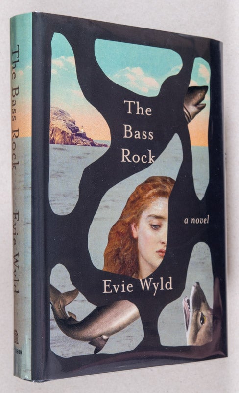 Item #0002808 The Bass Rock; A Novel. Evie Wyld.