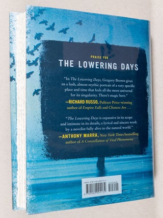 The Lowering Days; A Novel