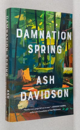 Item #0003104 Damnation Spring; A Novel. Ash Davidson