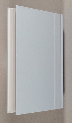 Afterland; A Novel