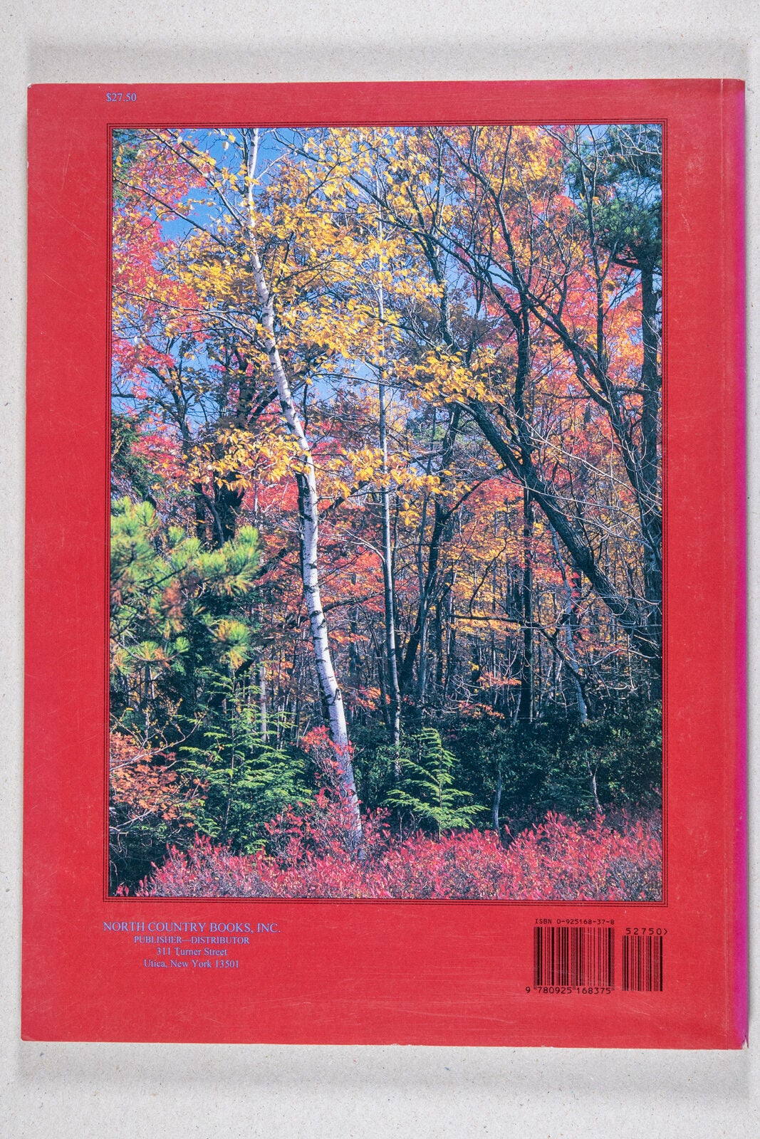 Bushwacker Book A Bushwacker's View of the Adirondacks | John E. Winkler, Neal Burdick ...