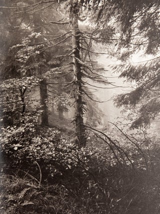 Aperture 118; Josef Sudek: Poet of Prague A Deepening Vision