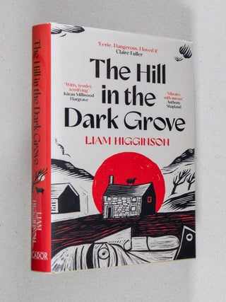 The Hill in the Dark Grove. Liam Higginson.