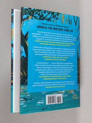 Should the Waters Take Us; A Novel
