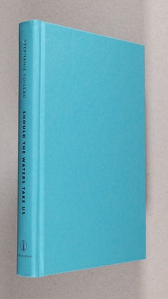 Should the Waters Take Us; A Novel