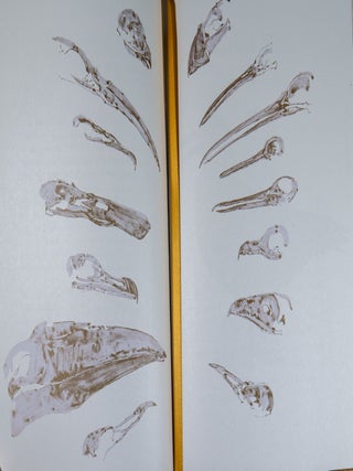 The Book of Birds; A Field Guide to Wonder and Loss