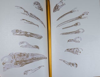 The Book of Birds; A Field Guide to Wonder and Loss