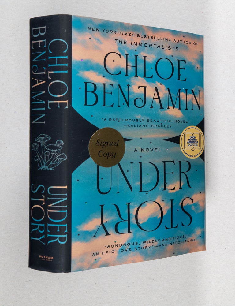 Item #0005379 Under Story; A Novel. Chloe Benjamin.