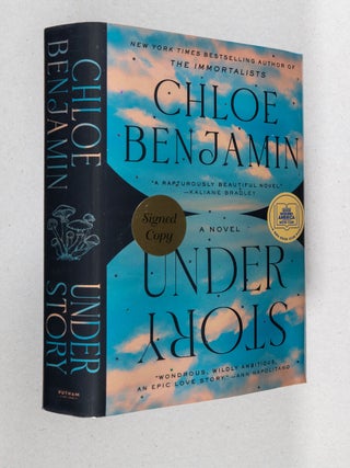 Under Story; A Novel